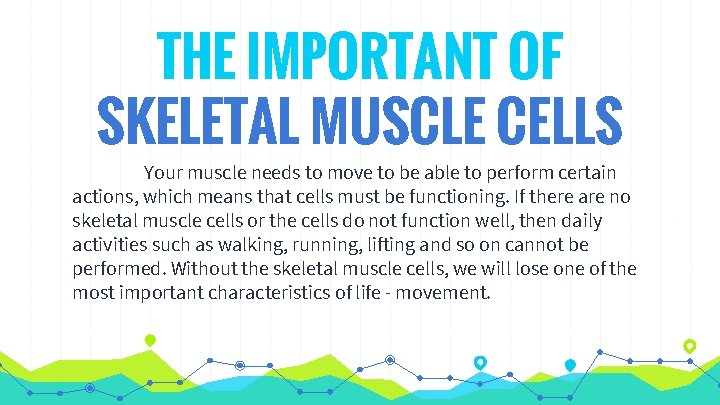 THE IMPORTANT OF SKELETAL MUSCLE CELLS Your muscle needs to move to be able