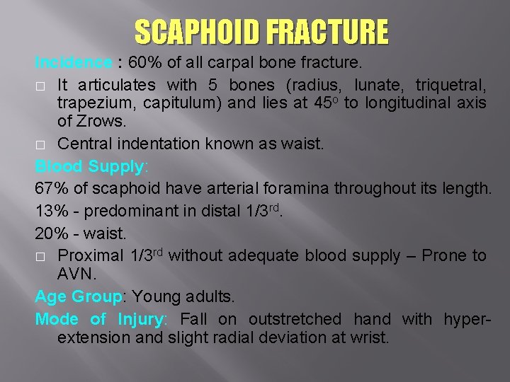 SCAPHOID FRACTURE Incidence : 60% of all carpal bone fracture. � It articulates with