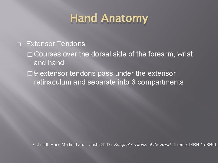 Hand Anatomy � Extensor Tendons: � Courses over the dorsal side of the forearm,