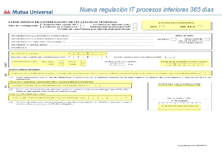 Nueva regulación IT procesos inferiores 365 días 