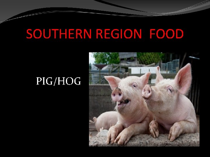 SOUTHERN REGION FOOD PIG/HOG 