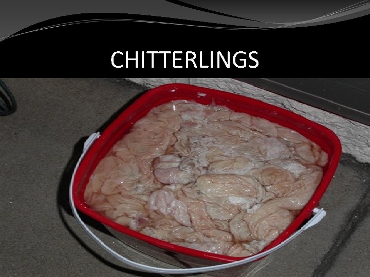 CHITTERLINGS 