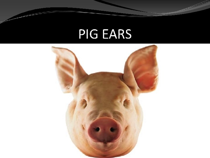PIG EARS 