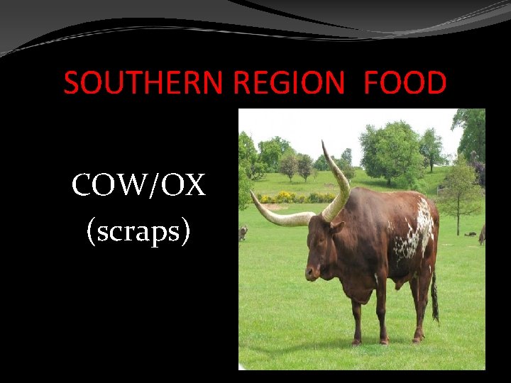 SOUTHERN REGION FOOD COW/OX (scraps) 