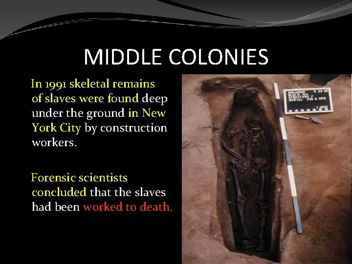 MIDDLE COLONIES In 1991 skeletal remains of slaves were found deep under the ground