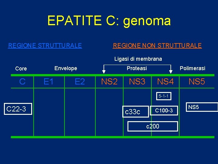 EPATITE C: genoma REGIONE STRUTTURALE REGIONE NON STRUTTURALE Ligasi di membrana Envelope Core C