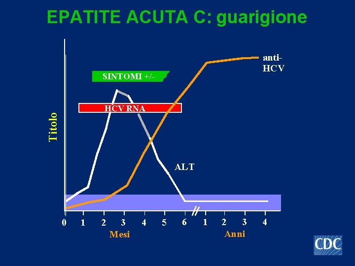 EPATITE ACUTA C: guarigione anti. HCV SINTOMI +/- Titolo HCV RNA ALT 0 1