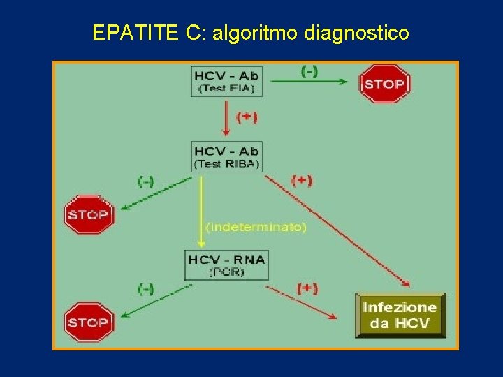 EPATITE C: algoritmo diagnostico 