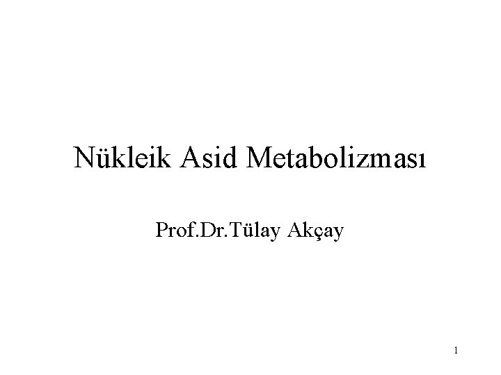 Nükleik Asid Metabolizması Prof. Dr. Tülay Akçay 1 