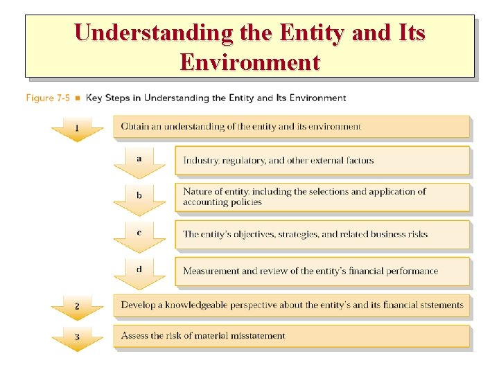 Understanding the Entity and Its Environment 