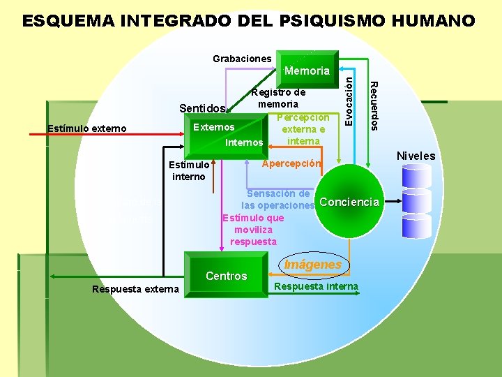 ESQUEMA INTEGRADO DEL PSIQUISMO HUMANO Grabaciones Apercepción Estímulo interno Registro de la respuesta Sensación ESQUEMA INTEGRADO DEL PSIQUISMO HUMANO Grabaciones Apercepción Estímulo interno Registro de la respuesta Sensación