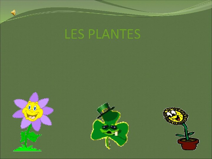 LES PLANTES 