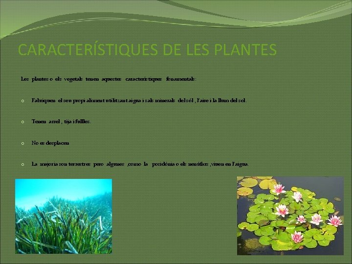 CARACTERÍSTIQUES DE LES PLANTES Les plantes o els vegetals tenen aquestes característiques fonamentals: o
