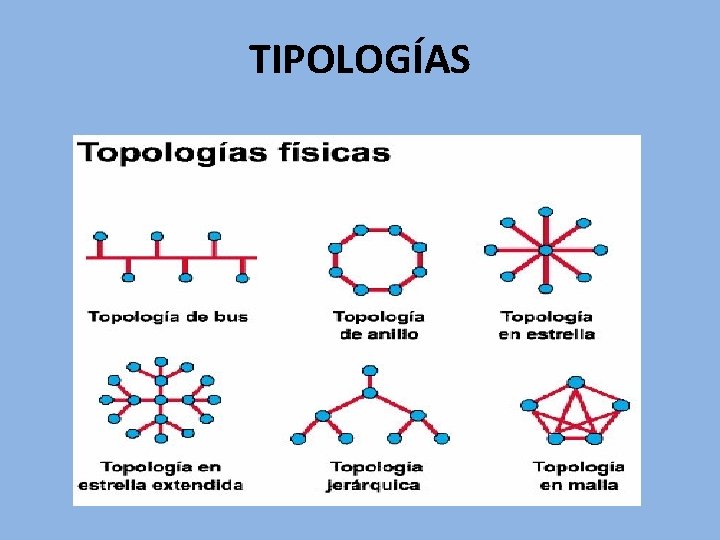 TIPOLOGÍAS 