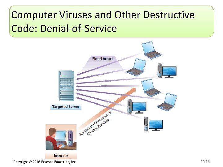 Computer Viruses and Other Destructive Code: Denial-of-Service Copyright © 2016 Pearson Education, Inc. 10