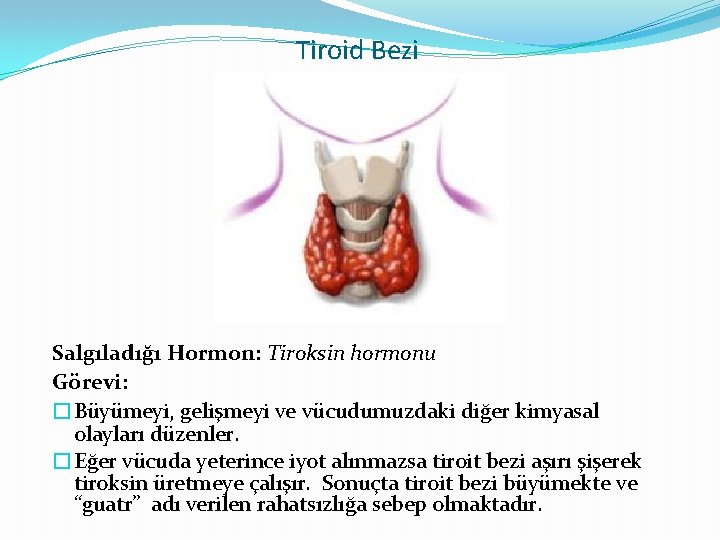 Tiroid Bezi Salgıladığı Hormon: Tiroksin hormonu Görevi: �Büyümeyi, gelişmeyi ve vücudumuzdaki diğer kimyasal olayları Tiroid Bezi Salgıladığı Hormon: Tiroksin hormonu Görevi: �Büyümeyi, gelişmeyi ve vücudumuzdaki diğer kimyasal olayları
