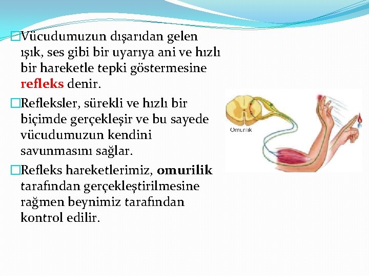 �Vücudumuzun dışarıdan gelen ışık, ses gibi bir uyarıya ani ve hızlı bir hareketle tepki