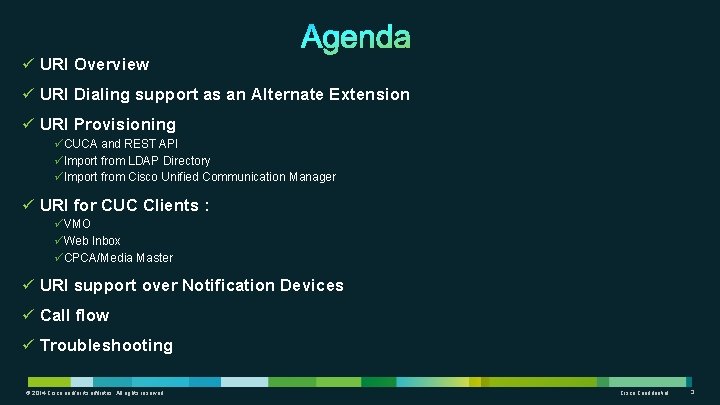 ü URI Overview ü URI Dialing support as an Alternate Extension ü URI Provisioning ü URI Overview ü URI Dialing support as an Alternate Extension ü URI Provisioning