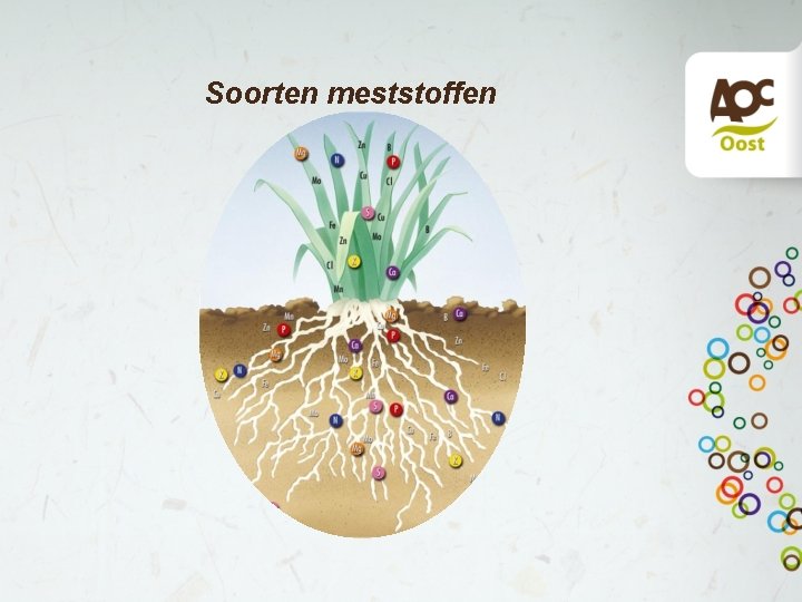 Soorten meststoffen test 