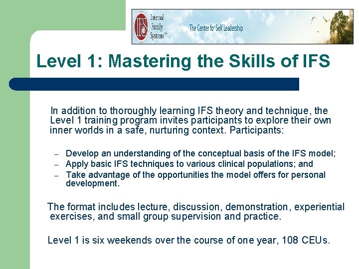 Level 1: Mastering the Skills of IFS In addition to thoroughly learning IFS theory Level 1: Mastering the Skills of IFS In addition to thoroughly learning IFS theory