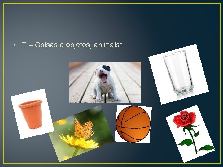  • IT – Coisas e objetos, animais*. 