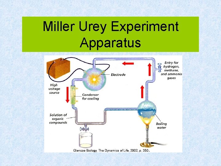 Miller Urey Experiment Apparatus 