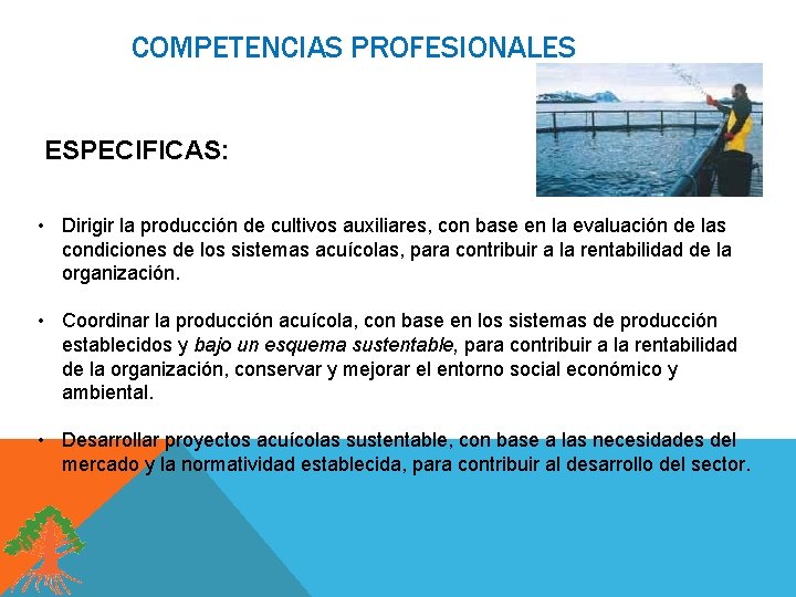 COMPETENCIAS PROFESIONALES ESPECIFICAS: • Dirigir la producción de cultivos auxiliares, con base en la