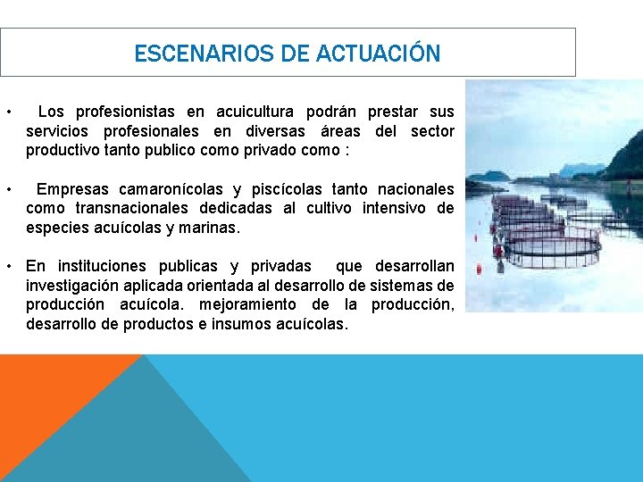 ESCENARIOS DE ACTUACIÓN • Los profesionistas en acuicultura podrán prestar sus servicios profesionales en