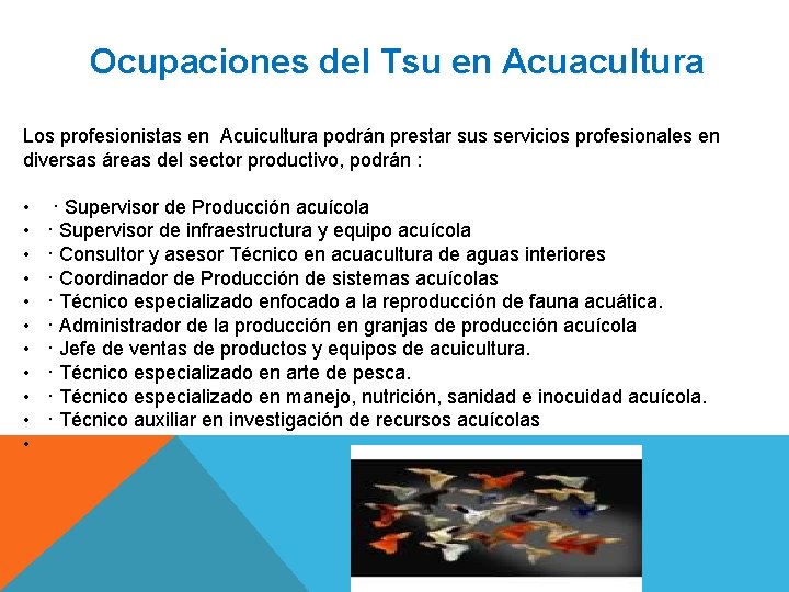 Ocupaciones del Tsu en Acuacultura Los profesionistas en Acuicultura podrán prestar sus servicios profesionales