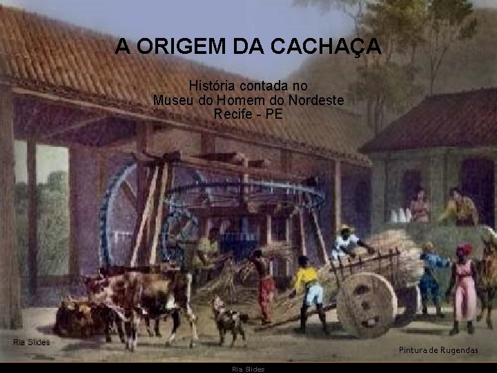 A ORIGEM DA CACHAÇA História contada no Museu do Homem do Nordeste Recife -