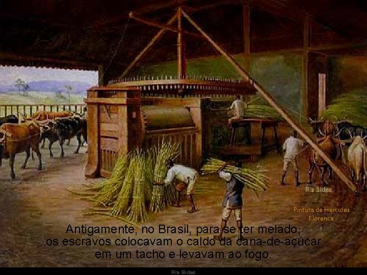 Pintura de Hercules Florence Antigamente, no Brasil, para se ter melado, os escravos colocavam