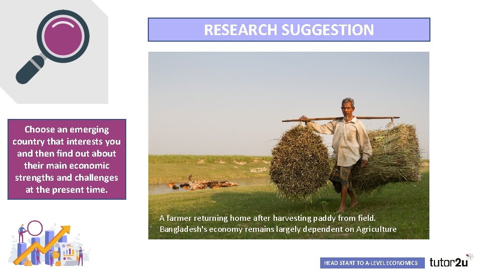 RESEARCH SUGGESTION Choose an emerging country that interests you and then find out about