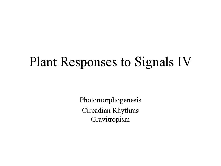Plant Responses to Signals IV Photomorphogenesis Circadian Rhythms Gravitropism http: //sunflower. bio. indiana. edu/~rhangart/plantsinmotion. Plant Responses to Signals IV Photomorphogenesis Circadian Rhythms Gravitropism http: //sunflower. bio. indiana. edu/~rhangart/plantsinmotion.