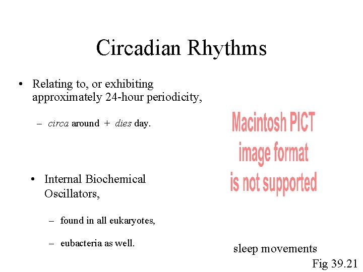 Circadian Rhythms • Relating to, or exhibiting approximately 24 -hour periodicity, – circa around Circadian Rhythms • Relating to, or exhibiting approximately 24 -hour periodicity, – circa around