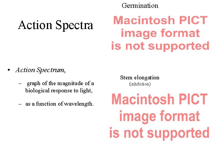 Germination Action Spectra • Action Spectrum, – graph of the magnitude of a biological Germination Action Spectra • Action Spectrum, – graph of the magnitude of a biological