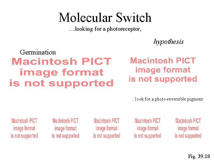 Molecular Switch …looking for a photoreceptor, hypothesis Germination …look for a photo-reversible pigment. Fig. Molecular Switch …looking for a photoreceptor, hypothesis Germination …look for a photo-reversible pigment. Fig.