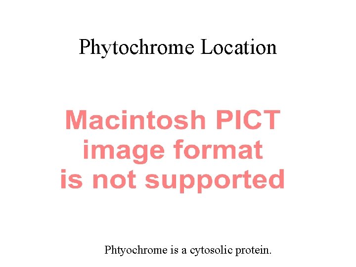 Phytochrome Location Phtyochrome is a cytosolic protein. Phytochrome Location Phtyochrome is a cytosolic protein.