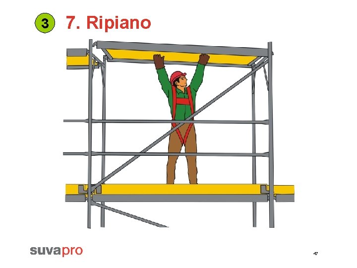 3 7. Ripiano 47 