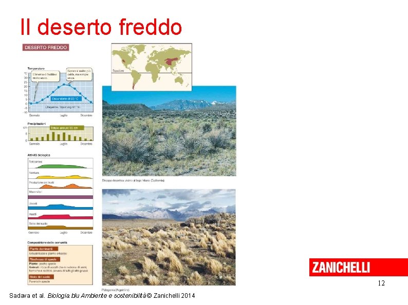 Il deserto freddo 12 Sadava et al. Biologia. blu Ambiente e sostenibilità © Zanichelli