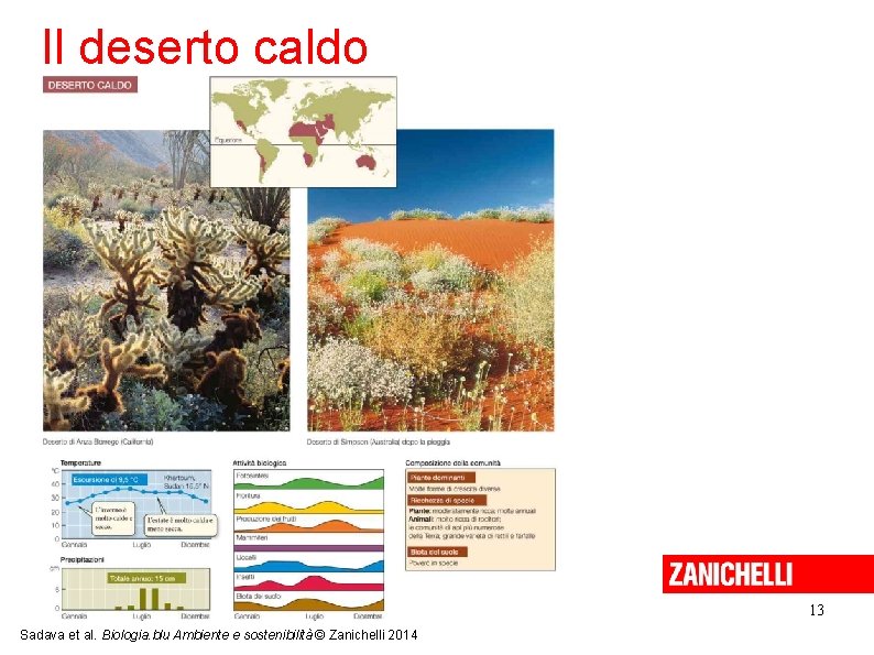 Il deserto caldo 13 Sadava et al. Biologia. blu Ambiente e sostenibilità © Zanichelli