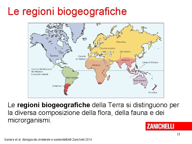 Le regioni biogeografiche della Terra si distinguono per la diversa composizione della flora, della