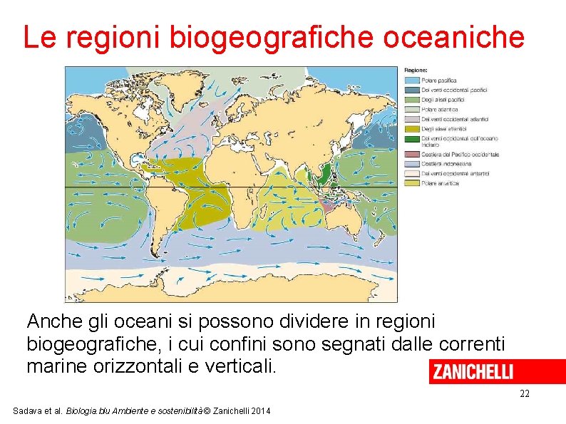 Le regioni biogeografiche oceaniche Anche gli oceani si possono dividere in regioni biogeografiche, i