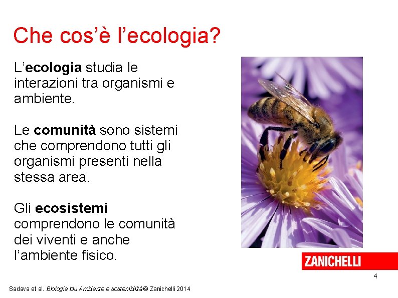 Che cos’è l’ecologia? L’ecologia studia le interazioni tra organismi e ambiente. Le comunità sono