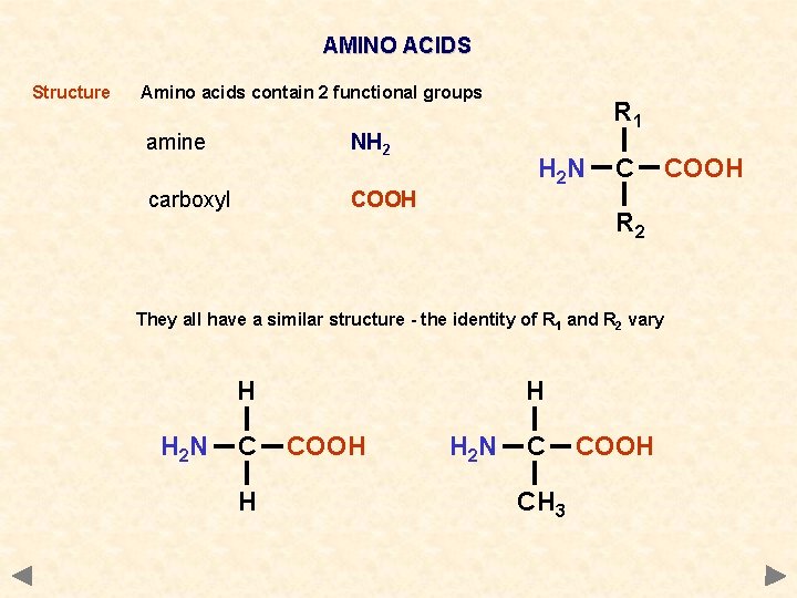 AMINO ACIDS Structure Amino acids contain 2 functional groups amine NH 2 carboxyl COOH