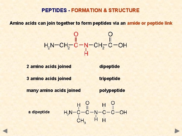 PEPTIDES - FORMATION & STRUCTURE Amino acids can join together to form peptides via