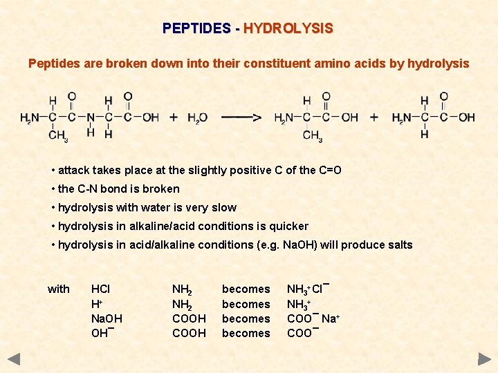 PEPTIDES - HYDROLYSIS Peptides are broken down into their constituent amino acids by hydrolysis