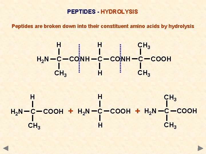 PEPTIDES - HYDROLYSIS Peptides are broken down into their constituent amino acids by hydrolysis