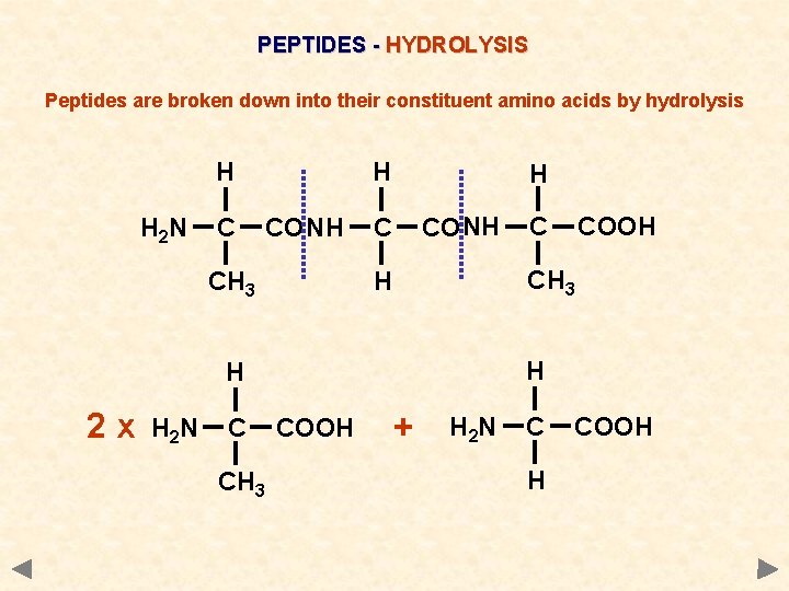 PEPTIDES - HYDROLYSIS Peptides are broken down into their constituent amino acids by hydrolysis