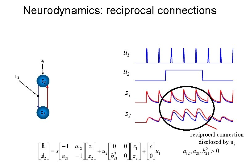 Neurodynamics: reciprocal connections u 1 u 2 z 1 z 2 reciprocal connection disclosed