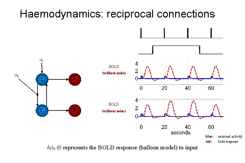 Haemodynamics: reciprocal connections u 1 BOLD u 2 z 1 z 2 h 1